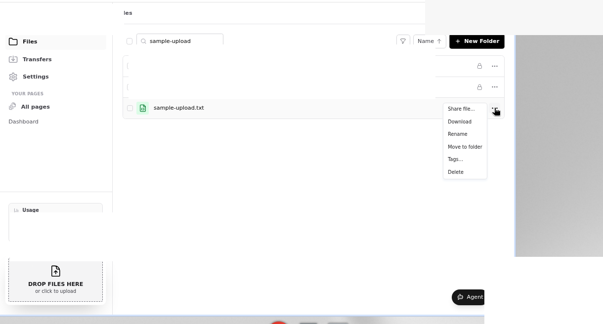 File row menu with Download