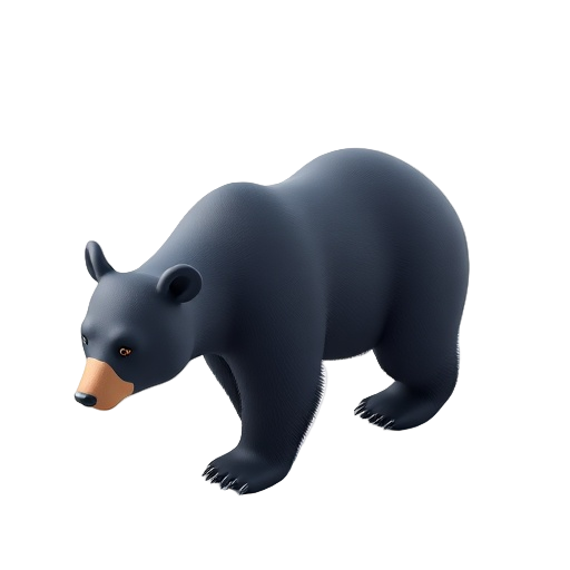 Black Bear