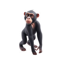Bonobo