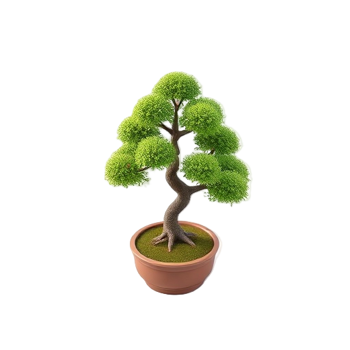 Bonsai Tree