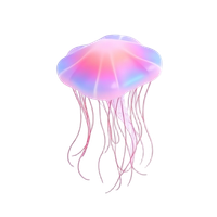 Box Jellyfish