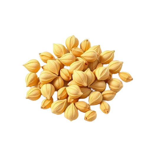 Cardamom Seeds