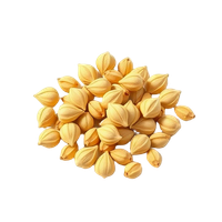 Cardamom Seeds