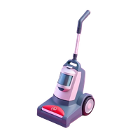 Carpet Cleaner