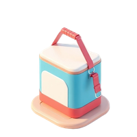 Cooler Bag