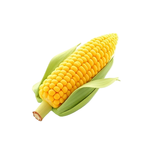 Corn on the Cob
