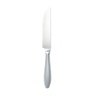 Dinner Knife