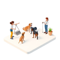 Dog Training Session