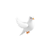 Dove
