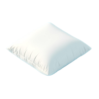 Down Pillow