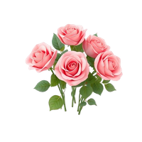Dusty pink roses