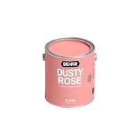 Dusty Rose paint