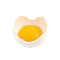 egg yolks