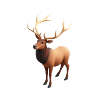 Elk