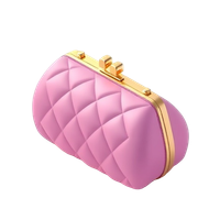 Evening Bag