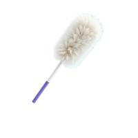 Feather Duster