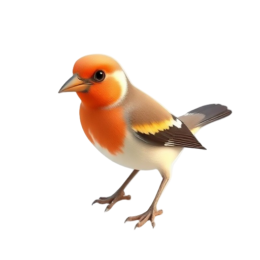 Finch