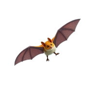 Flying Fox