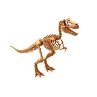 Fossil Tyrannosaurus Rex Skeleton (Stan)
