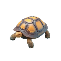 Galápagos Tortoise