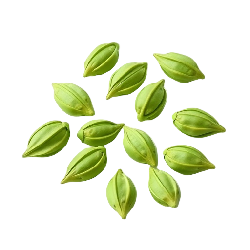 Green Cardamom Pods