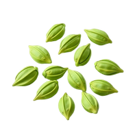 Green Cardamom Pods