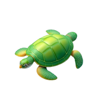 Green Sea Turtle