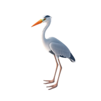 Heron