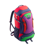 Hiking Backpack