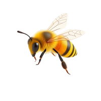 Honeybee