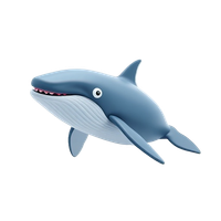 Humpback Whale