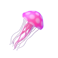Jellyfish