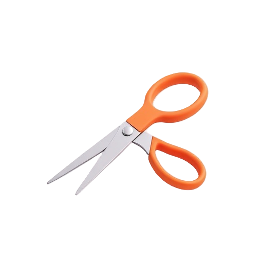 Kitchen Shears