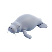 Manatee