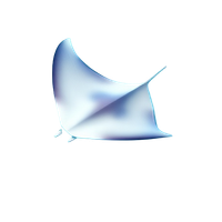 Manta Ray