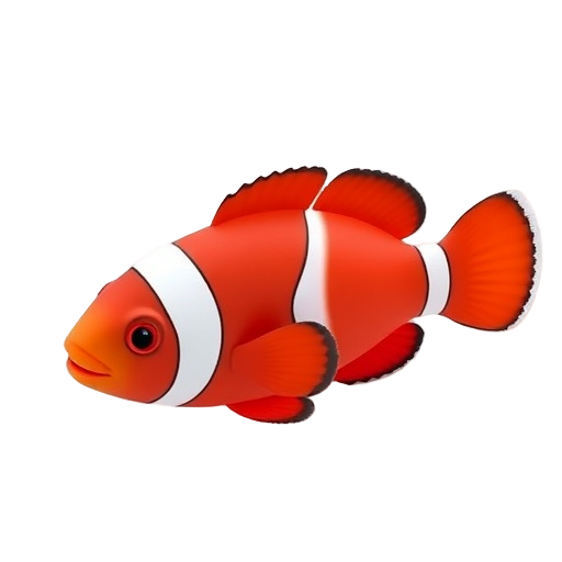 Maroon Clownfish
