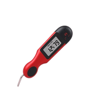 Meat Thermometer