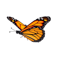 Monarch Butterfly