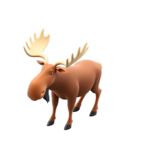 Moose