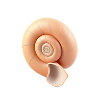 Nautilus