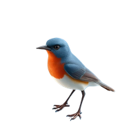 Nightingale