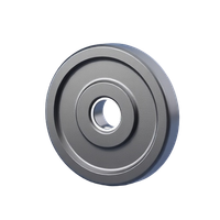 Olympic Weight Plates