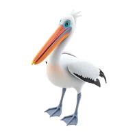 Pelican