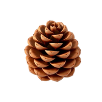 Pinecone