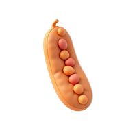 pinto beans