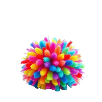 Pompom