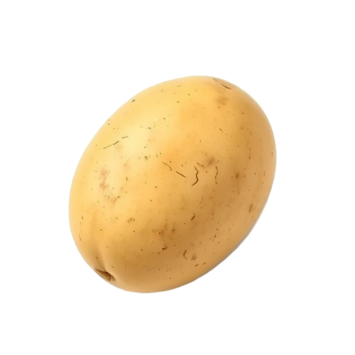 Potato