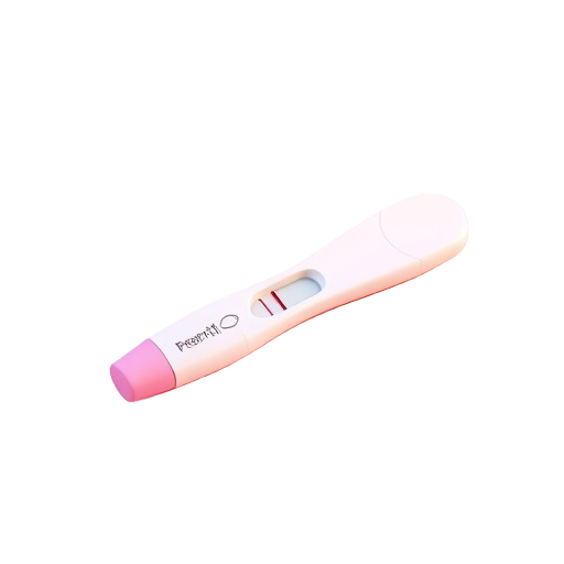 Pregnancy Test