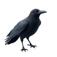 Raven