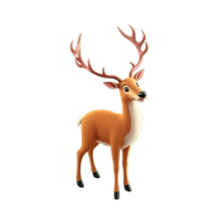 Reindeer